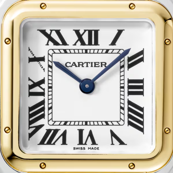 Unworn Cartier Panthère de Cartier, Stainless Steel, 18k Yellow Gold, 29mm x 37mm, Ref# W2PN0007, box and papers - Image 2