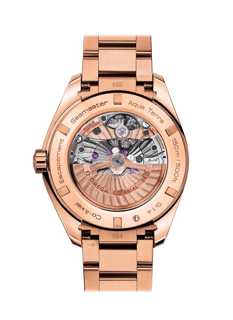 Omega Seamaster AQUA TERRA 150M CO‑AXIAL CHRONOMETER GMT Ref# 231.50.43.22.06.002 - Image 2