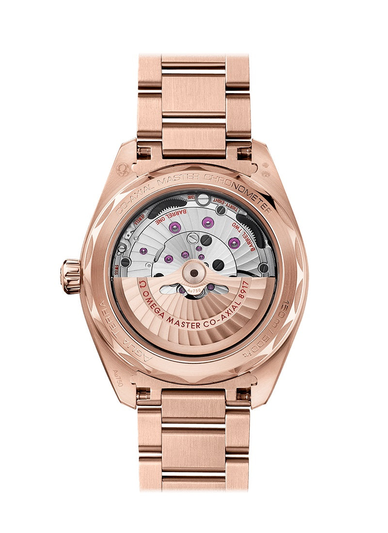 Omega Seamaster AQUA TERRA 150M CO‑AXIAL MASTER CHRONOMETER SMALL SECONDS Ref# 220.50.41.21.02.002 - Image 2