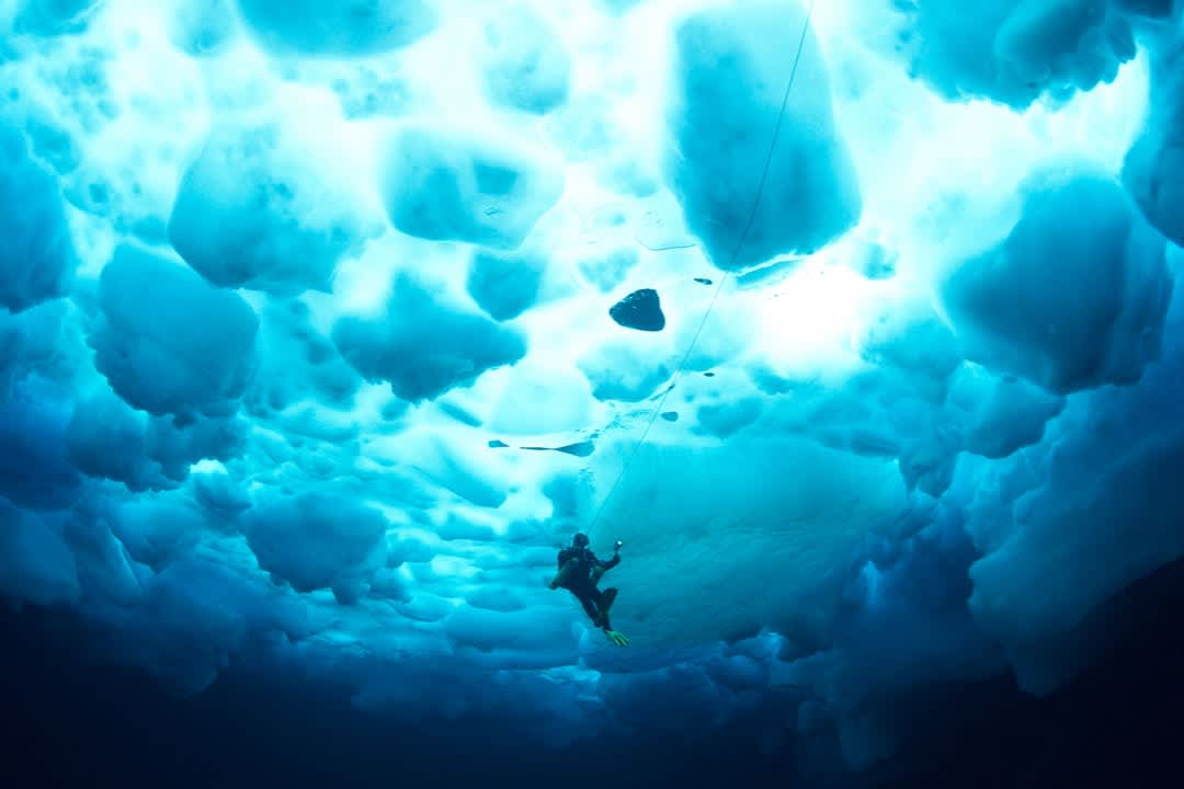 Rolex Deepsea, MK2, 44mm, Oystersteel, Ref# 136660-0006 - Image 5