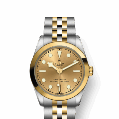 Tudor Black Bay 31 S&G, 316L Stainless Steel and 18k Yellow Gold, Ref# M79603-0005