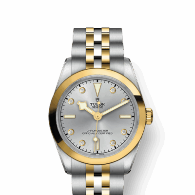 Tudor Black Bay 31 S&G, 316L Stainless Steel and 18k Yellow Gold, Ref# M79603-0007