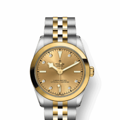 Tudor Black Bay 31 S&G, 316L Stainless Steel and 18k Yellow Gold, Ref# M79603-0008