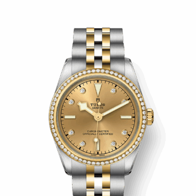 Tudor Black Bay 31 S&G, 316L Stainless Steel, 18k Yellow Gold and Diamonds, Ref# M79613-0007
