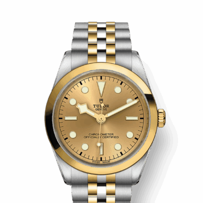 Tudor Black Bay 36 S&G, 316L Stainless Steel and 18k Yellow Gold, Ref# M79643-0005