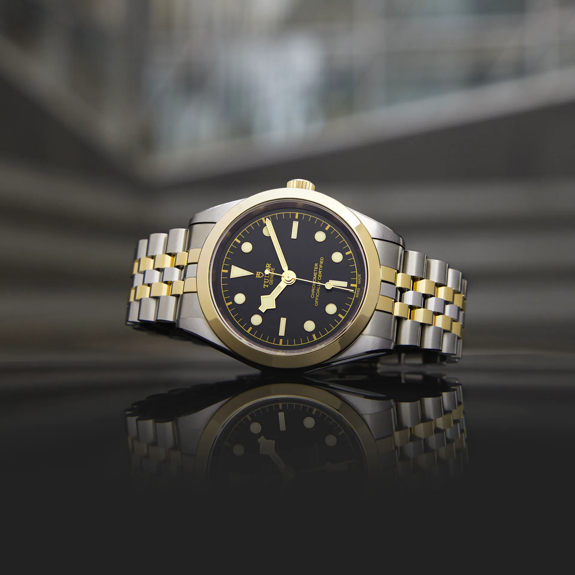 Tudor Black Bay 39 S&G, 316L Stainless Steel and 18k Yellow Gold, Ref# M79663-0001 - Image 3