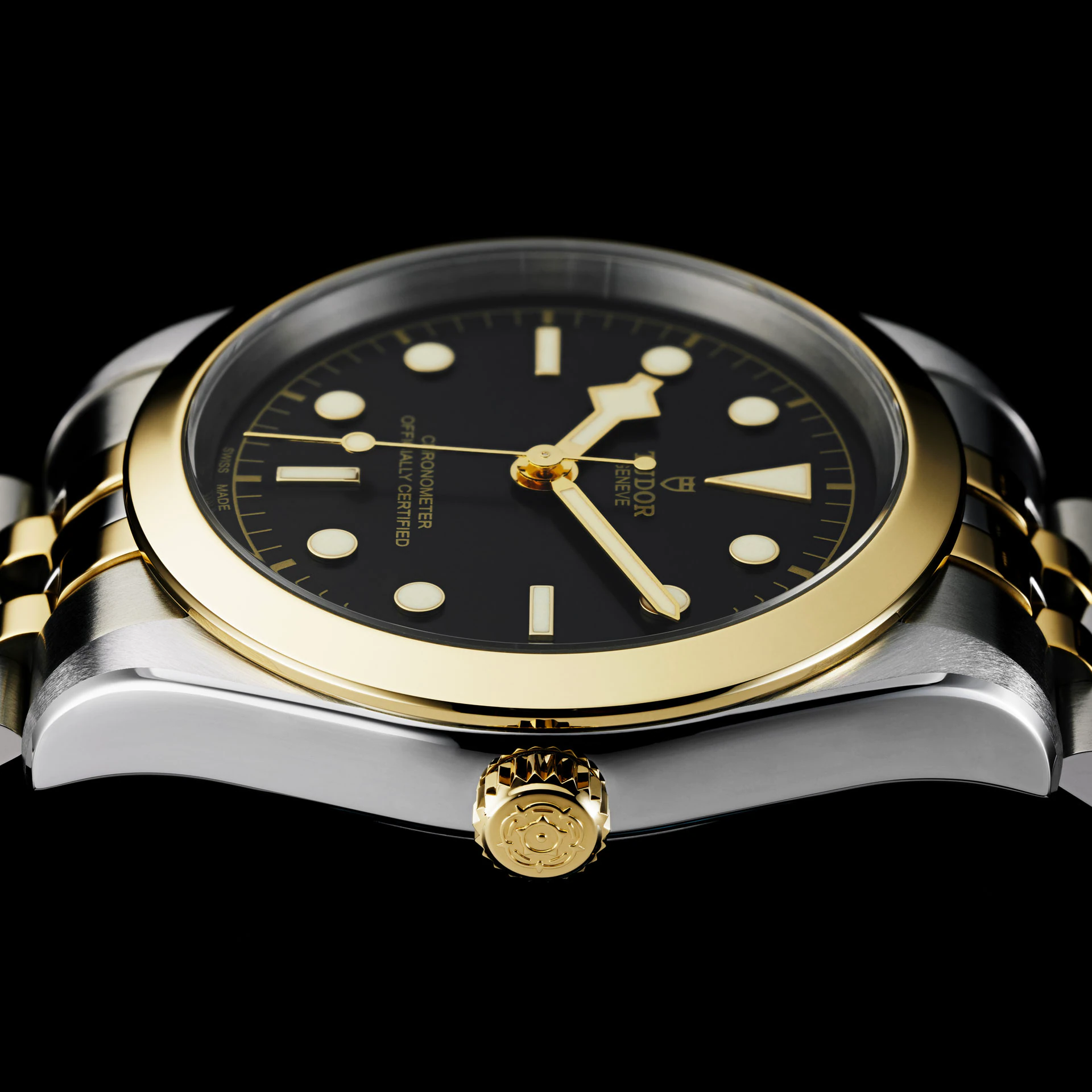 Tudor Black Bay 39 S&G, 316L Stainless Steel and 18k Yellow Gold, Ref# M79663-0001 - Image 2