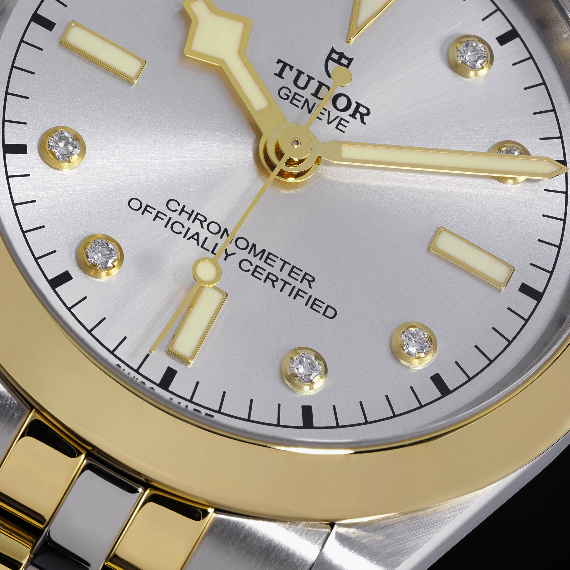 Tudor Black Bay 39 S&G, 316L Stainless Steel and 18k Yellow Gold, Ref# M79663-0007 - Image 2