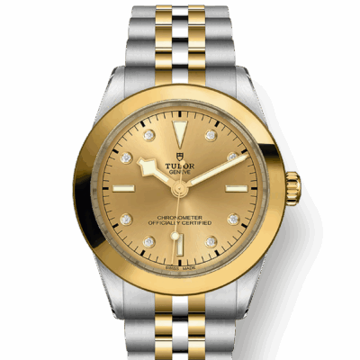 Tudor Black Bay 39 S&G, 316L Stainless Steel and 18k Yellow Gold, Ref# M79663-0008