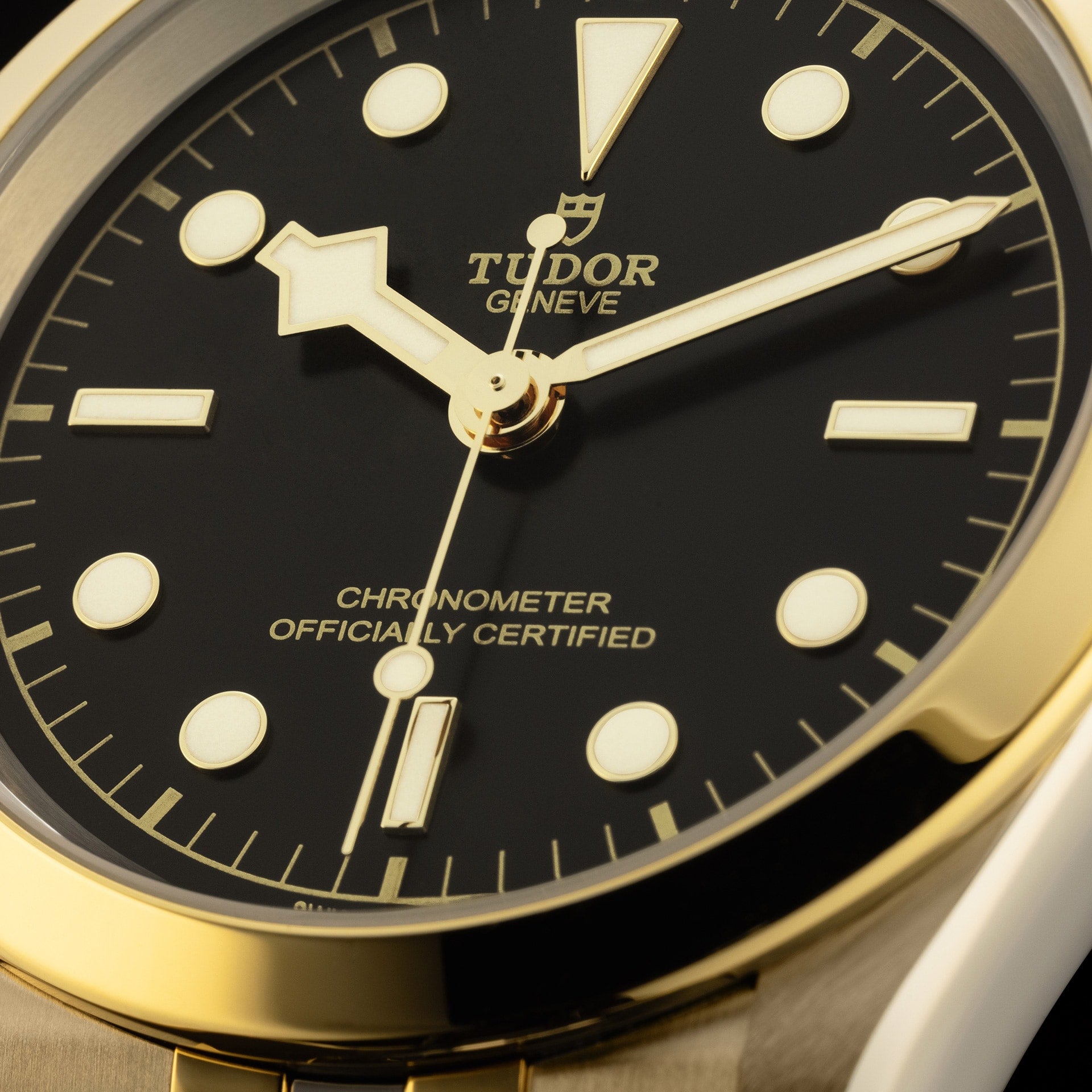 Tudor Black Bay 41 S&G, Stainless Steel and 18k Yellow Gold, Ref# M79683-0001 - Image 2