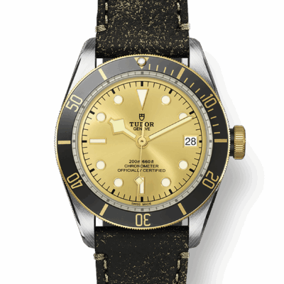 Tudor Black Bay S&G, 41mm, Stainless Steel and 18k Yellow Gold, Ref# M79733N-0003