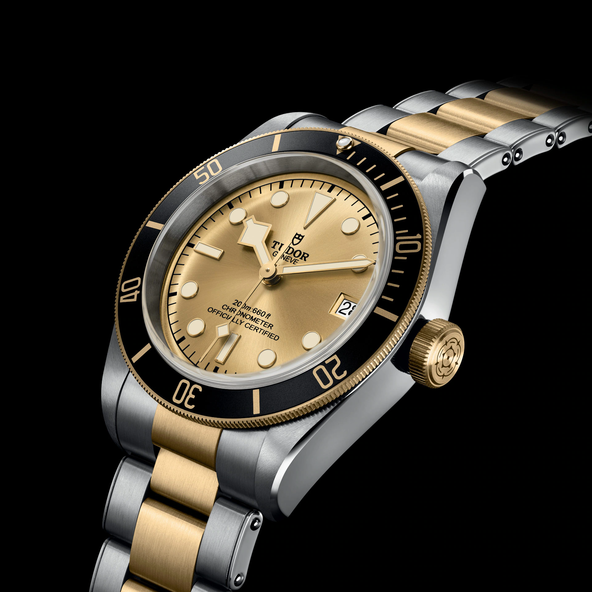 Tudor Black Bay S&G, 41mm, Stainless Steel and 18k Yellow Gold, Ref# M79733N-0004 - Image 2