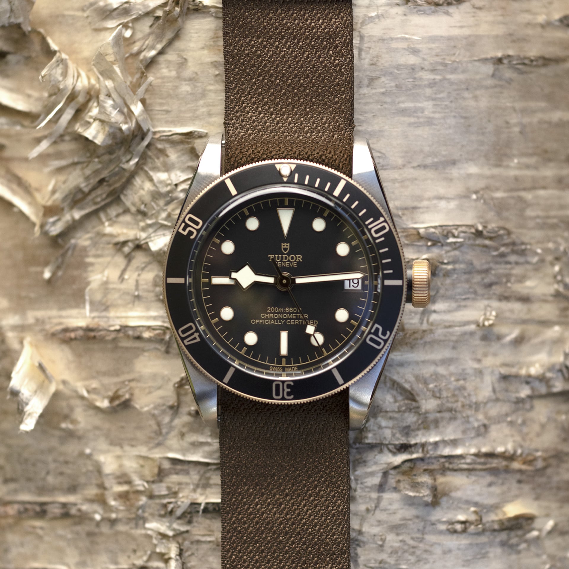 Tudor Black Bay S&G, 41mm, Stainless Steel and 18k Yellow Gold, Ref# M79733N-0005 - Image 2