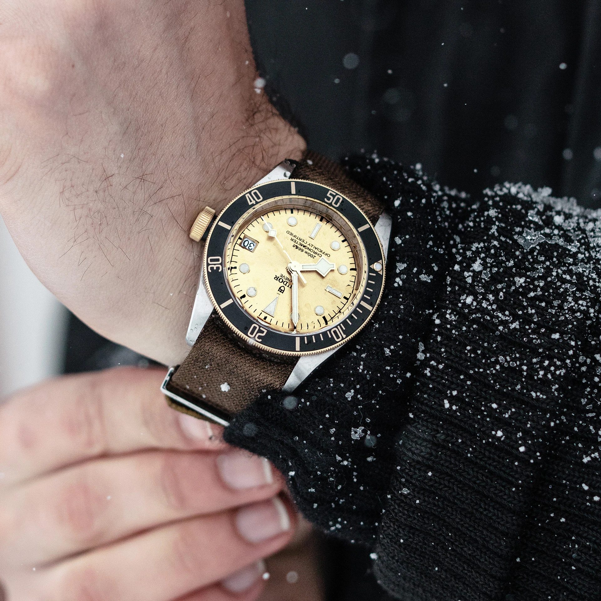 Tudor Black Bay S&G, 41mm, Stainless Steel and 18k Yellow Gold, Ref# M79733N-0006 - Image 4