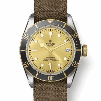 Tudor Black Bay S&G, 41mm, Stainless Steel and 18k Yellow Gold, Ref# M79733N-0006