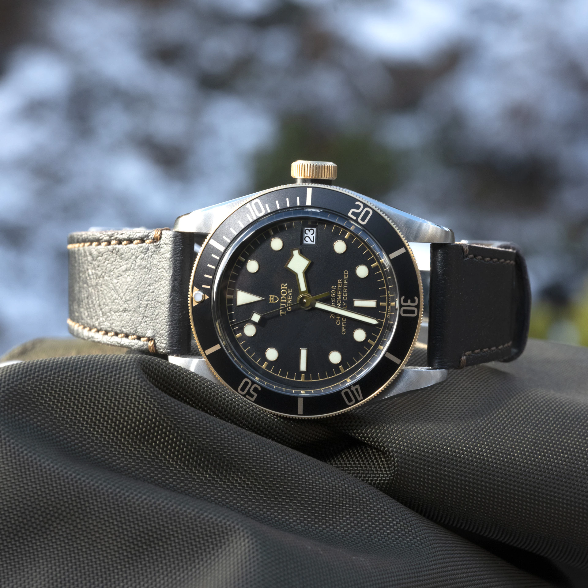 Tudor Black Bay S&G, 41mm, Stainless Steel and 18k Yellow Gold, Ref# M79733N-0007 - Image 2