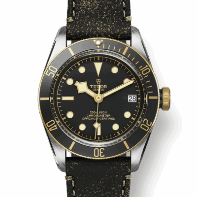 Tudor Black Bay S&G, 41mm, Stainless Steel and 18k Yellow Gold, Ref# M79733N-0007