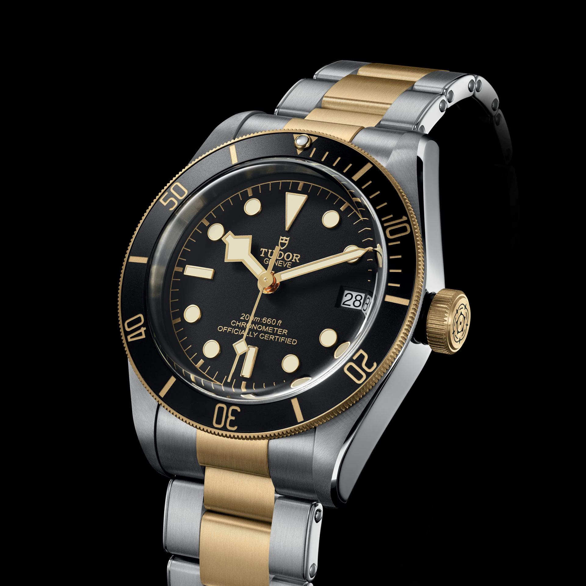 Tudor Black Bay S&G, 41mm, Stainless Steel and 18k Yellow Gold, Ref# M79733N-0008 - Image 2